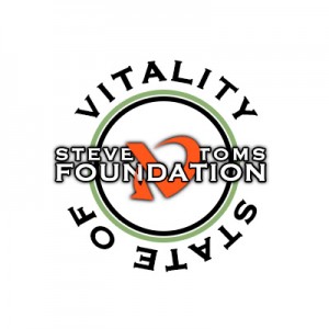 STF logo full